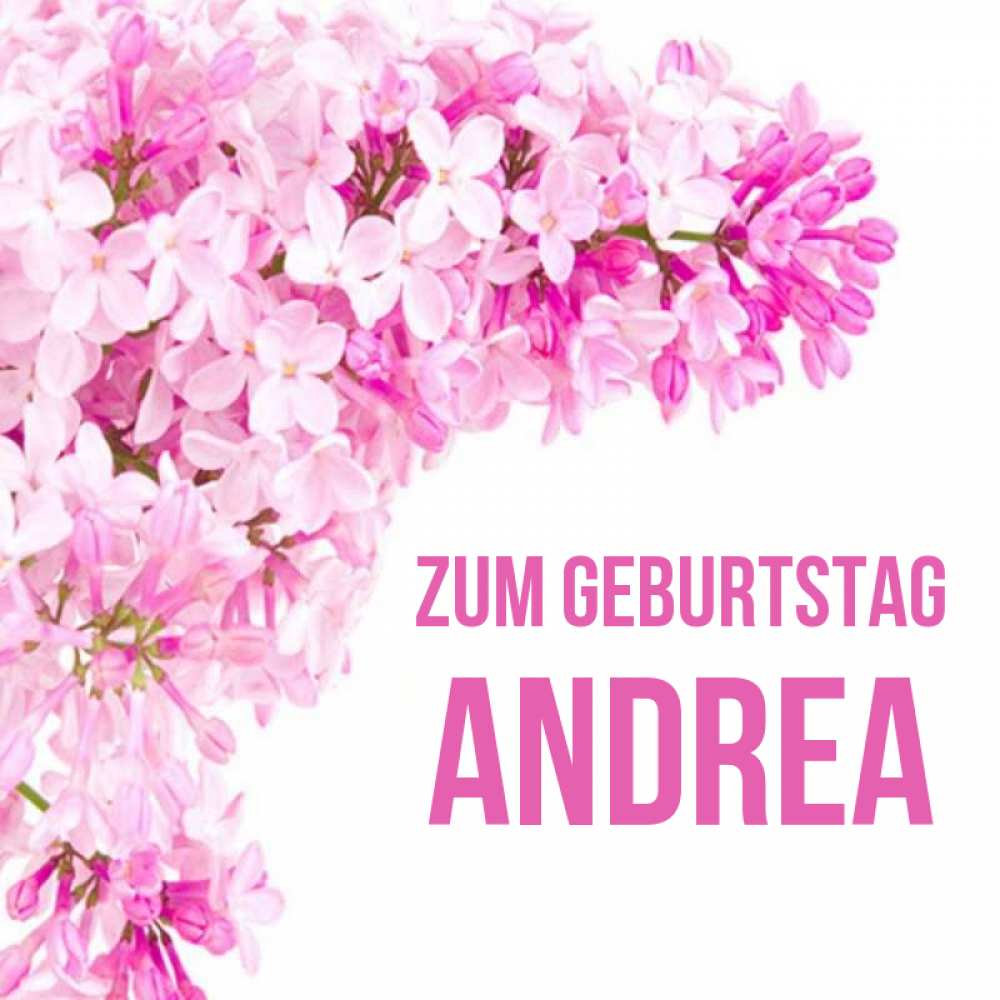 Открытка на каждый день с именем, Andrea Zum Geburtstag Сирень на белом фоне Прикольная открытка с пожеланием онлайн скачать бесплатно 