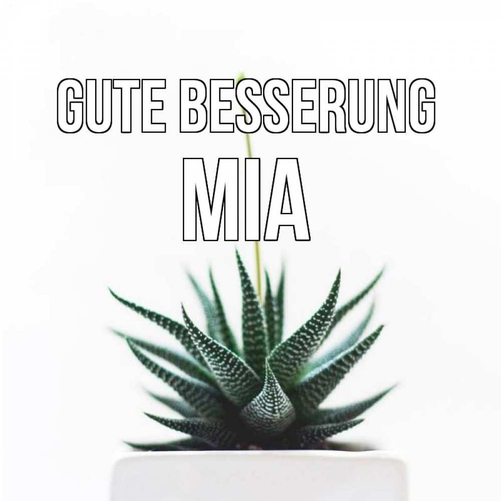 Открытка на каждый день с именем, Mia Gute Besserung короче это непонятная колючка Прикольная открытка с пожеланием онлайн скачать бесплатно 
