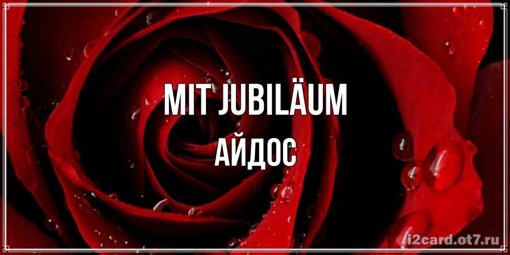 Открытка на каждый день с именем, Айдос Mit Jubiläum крупная бордовая роза Прикольная открытка с пожеланием онлайн скачать бесплатно 