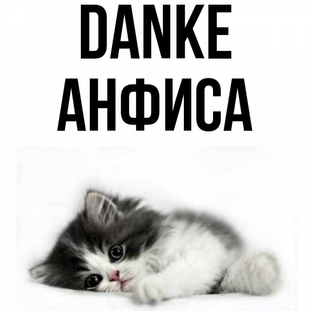 Открытка на каждый день с именем, Анфиса Danke черный и белый кот Прикольная открытка с пожеланием онлайн скачать бесплатно 
