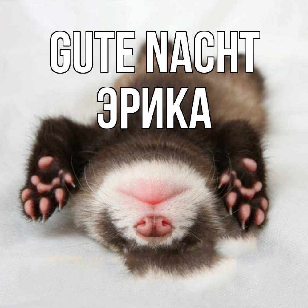 Открытка на каждый день с именем, Эрика Gute Nacht зверек Прикольная открытка с пожеланием онлайн скачать бесплатно 