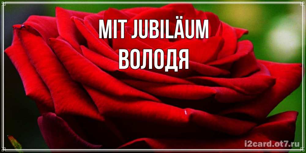 Открытка на каждый день с именем, Володя Mit Jubiläum розочка очень красивая Прикольная открытка с пожеланием онлайн скачать бесплатно 