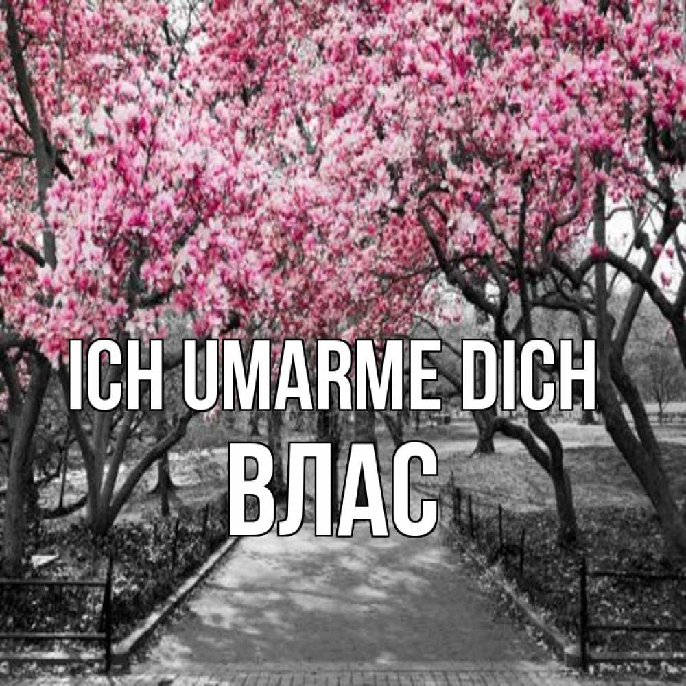 Открытка на каждый день с именем, Влас Ich umarme dich обработанное фото Прикольная открытка с пожеланием онлайн скачать бесплатно 