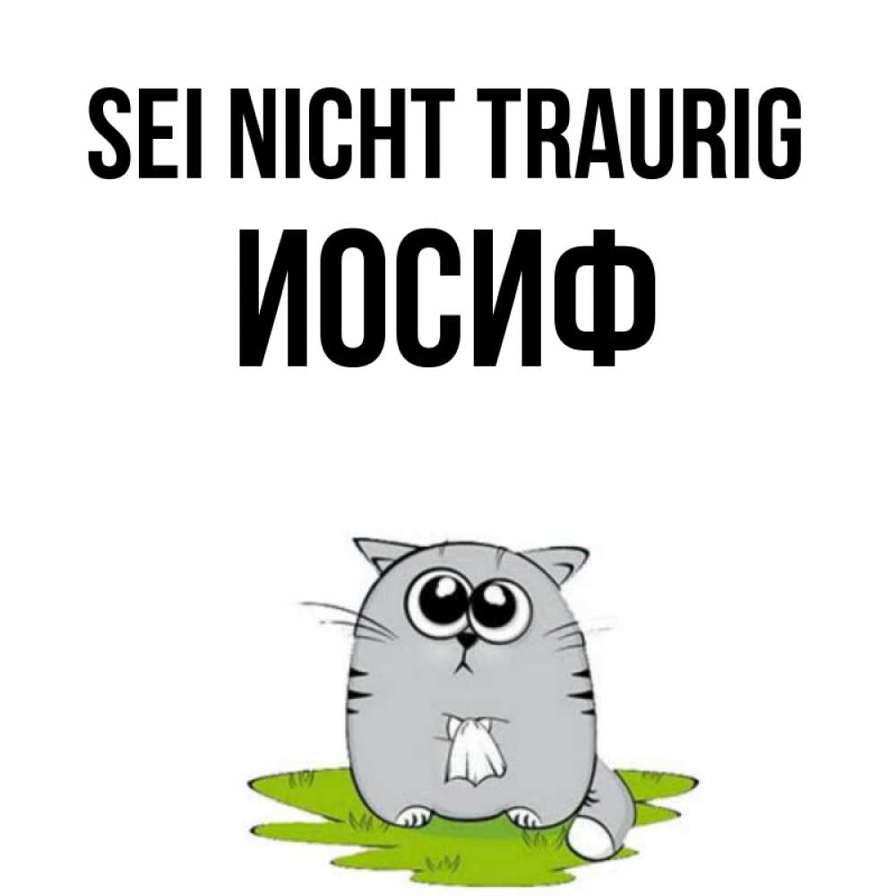 Открытка на каждый день с именем, Иосиф Sei nicht traurig грустный котяра Прикольная открытка с пожеланием онлайн скачать бесплатно 