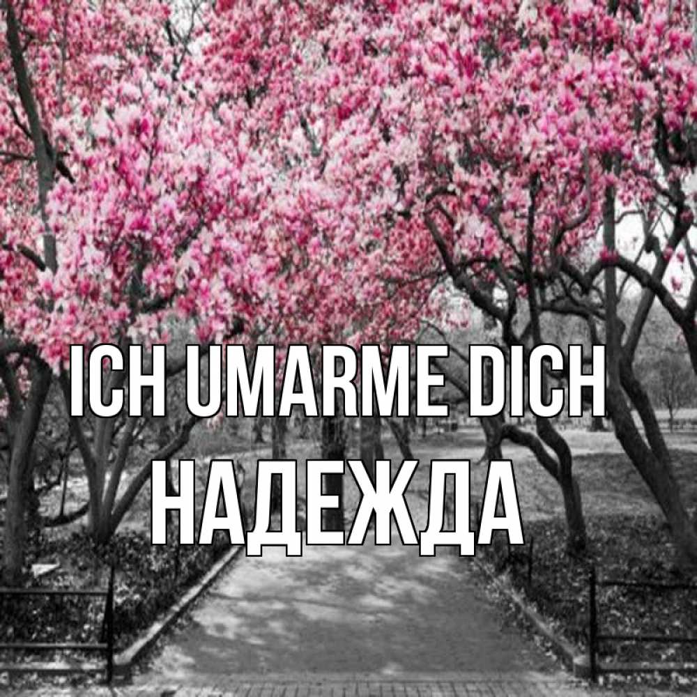 Открытка на каждый день с именем, Надежда Ich umarme dich обработанное фото Прикольная открытка с пожеланием онлайн скачать бесплатно 