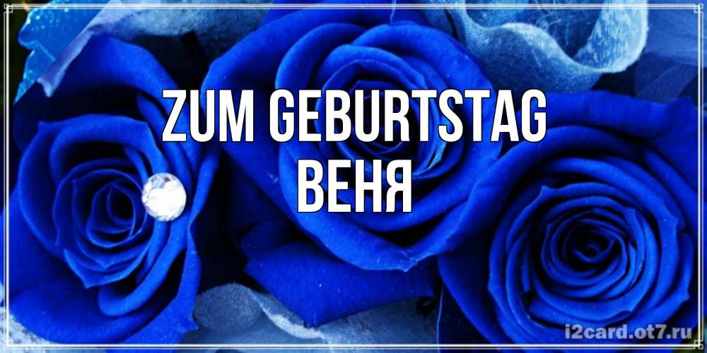 Открытка на каждый день с именем, Веня Zum Geburtstag синие розы в росе Прикольная открытка с пожеланием онлайн скачать бесплатно 