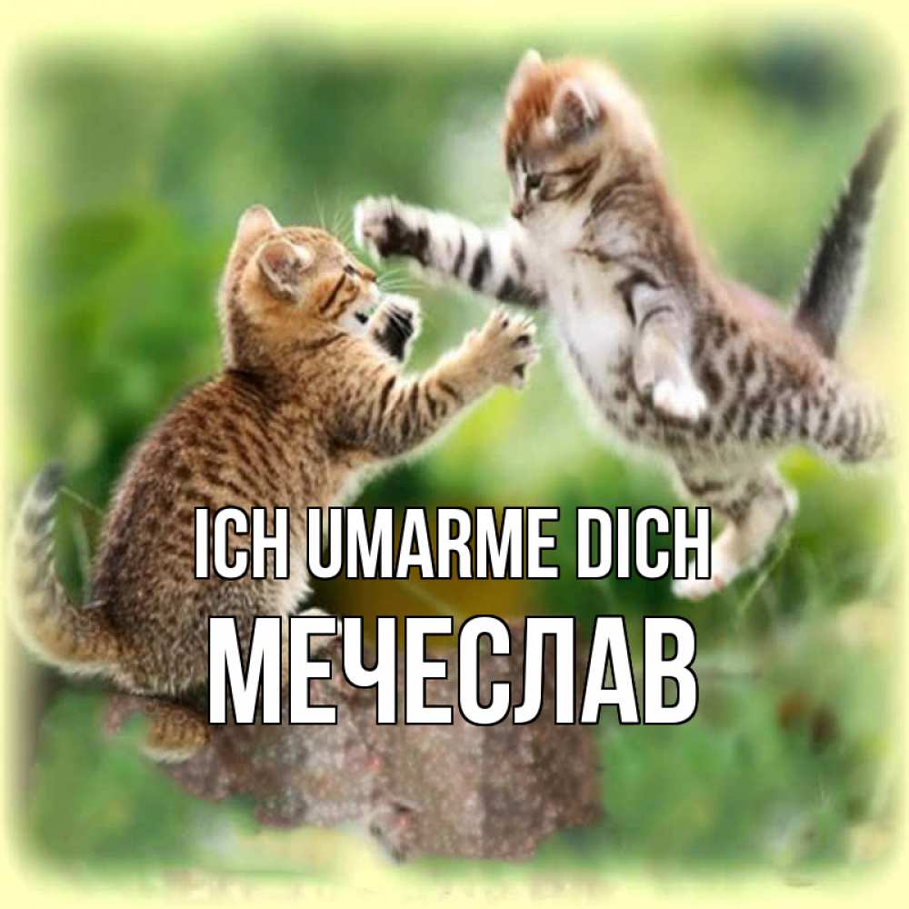 Открытка на каждый день с именем, Мечеслав Ich umarme dich игры котят Прикольная открытка с пожеланием онлайн скачать бесплатно 