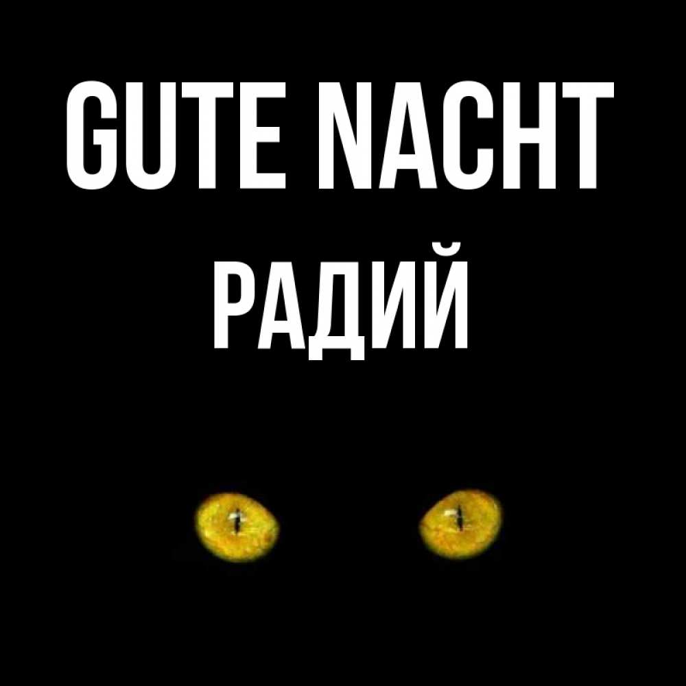 Открытка на каждый день с именем, Радий Gute Nacht сладких снов бесстрашный мой дружочек Прикольная открытка с пожеланием онлайн скачать бесплатно 