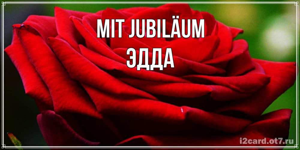 Открытка на каждый день с именем, Эдда Mit Jubiläum розочка очень красивая Прикольная открытка с пожеланием онлайн скачать бесплатно 