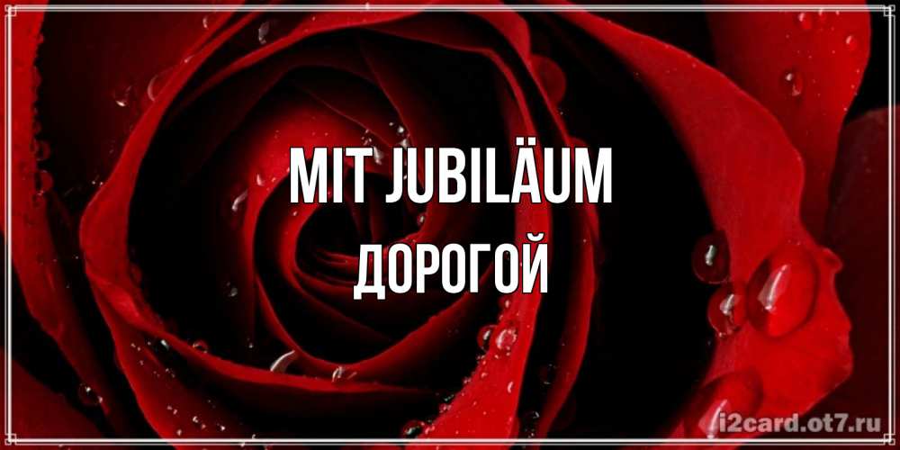Открытка на каждый день с именем, Дорогой Mit Jubiläum крупная бордовая роза Прикольная открытка с пожеланием онлайн скачать бесплатно 