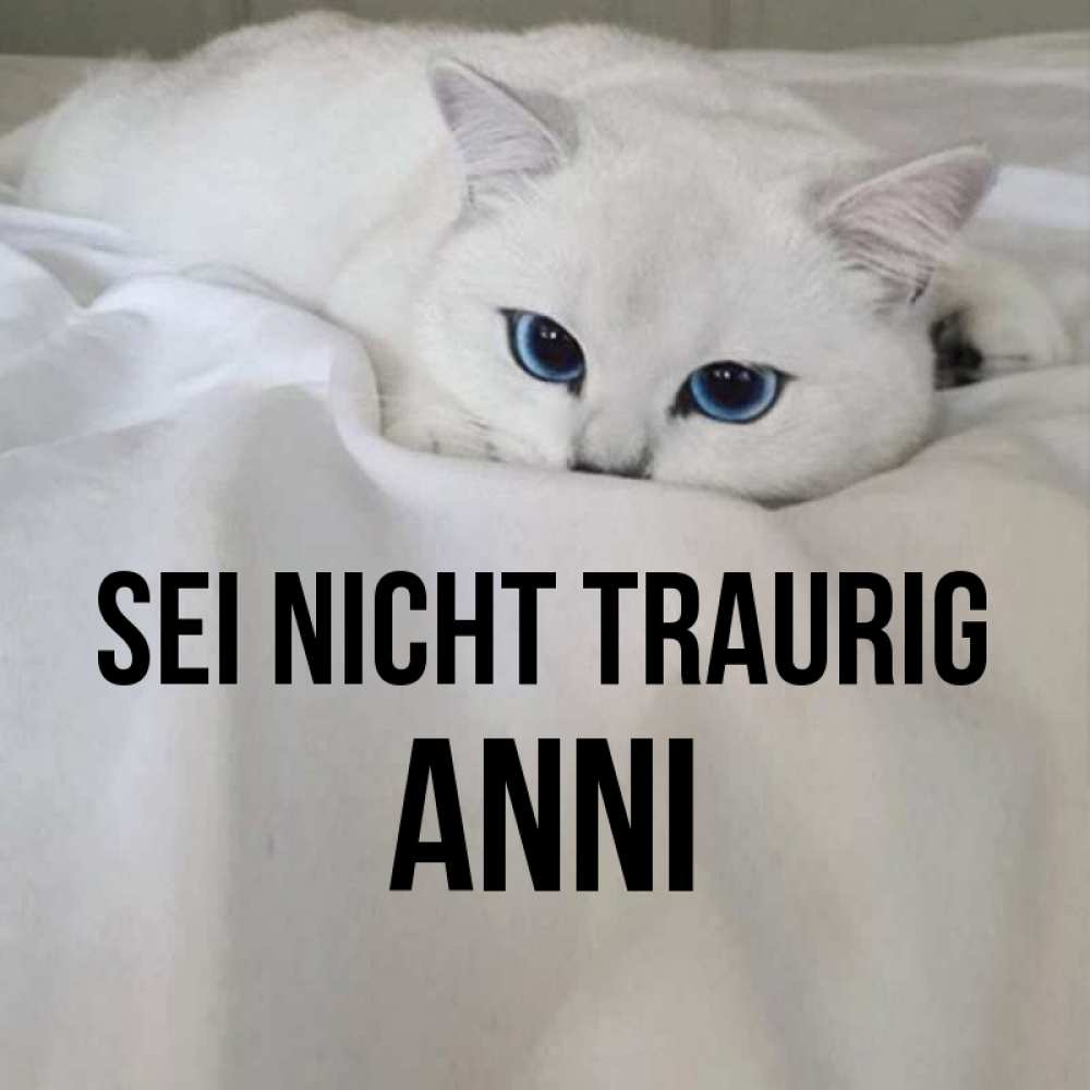 Открытка на каждый день с именем, Anni Sei nicht traurig Голубоглазая кошка Прикольная открытка с пожеланием онлайн скачать бесплатно 