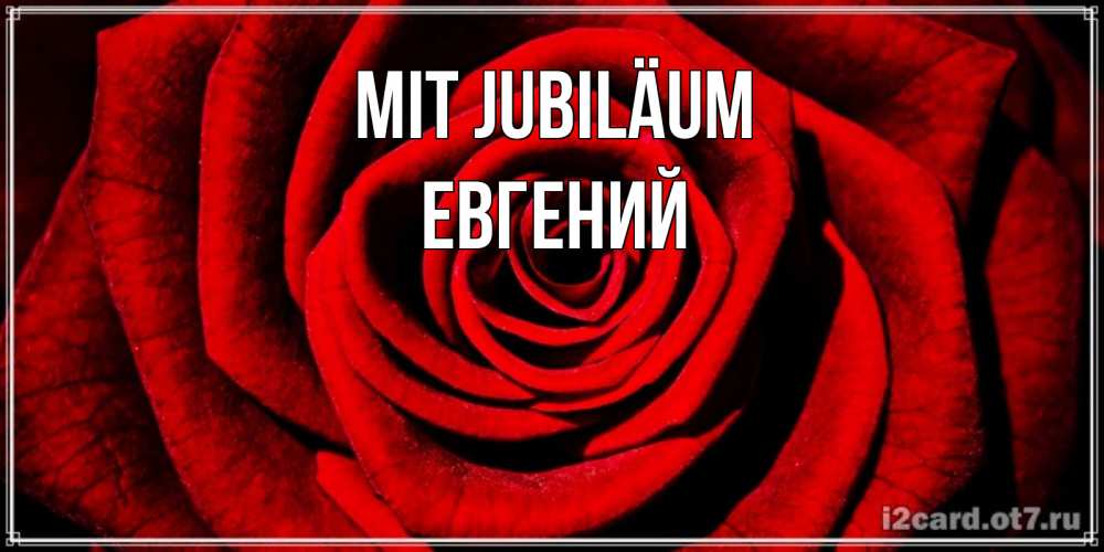 Открытка на каждый день с именем, Евгений Mit Jubiläum алая роза Прикольная открытка с пожеланием онлайн скачать бесплатно 