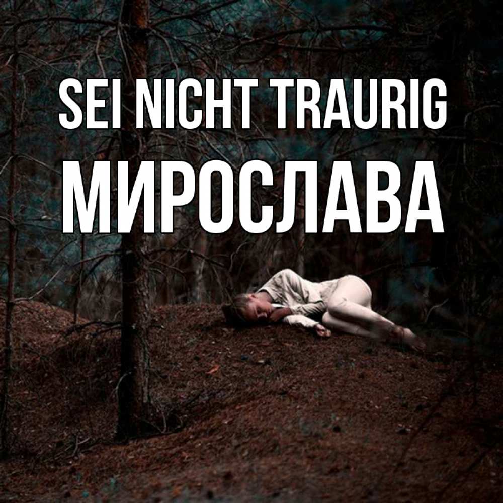 Открытка на каждый день с именем, Мирослава Sei nicht traurig лес Прикольная открытка с пожеланием онлайн скачать бесплатно 