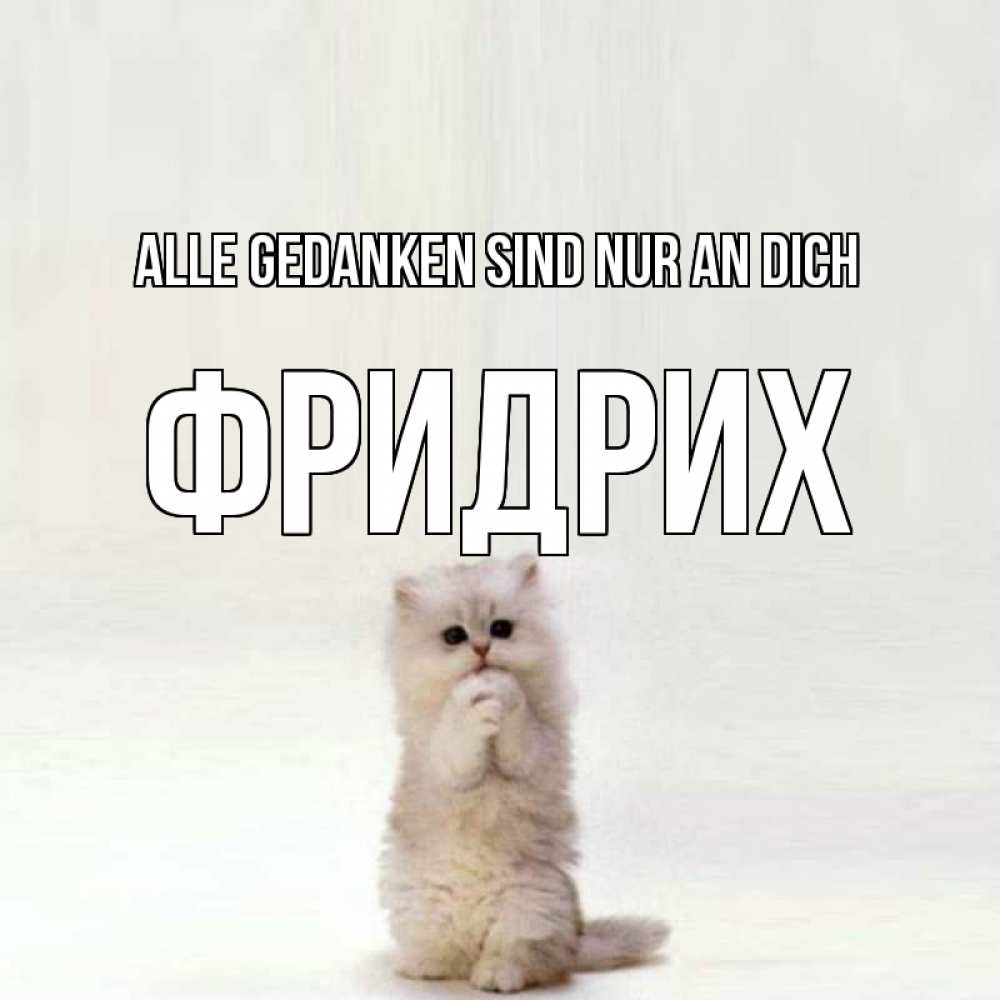 Открытка на каждый день с именем, Фридрих Alle Gedanken sind nur an dich кот стоит на задних лапах Прикольная открытка с пожеланием онлайн скачать бесплатно 