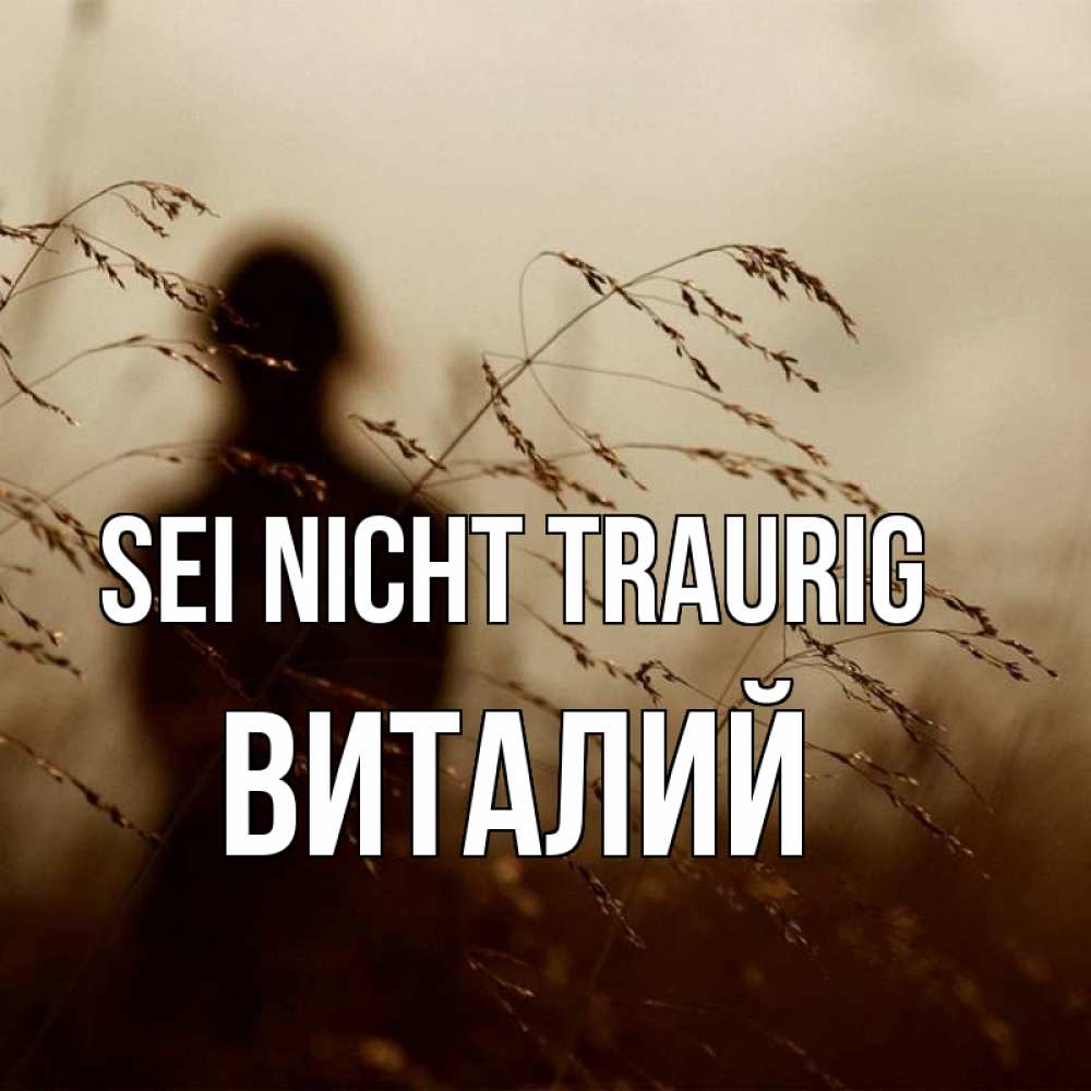 Открытка на каждый день с именем, Виталий Sei nicht traurig грусть Прикольная открытка с пожеланием онлайн скачать бесплатно 