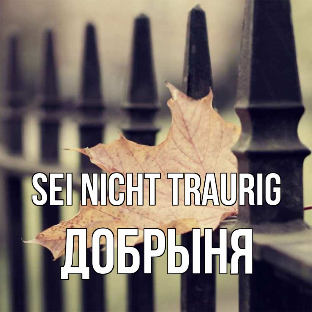 Открытка на каждый день с именем, Добрыня Sei nicht traurig лист клена Прикольная открытка с пожеланием онлайн скачать бесплатно 