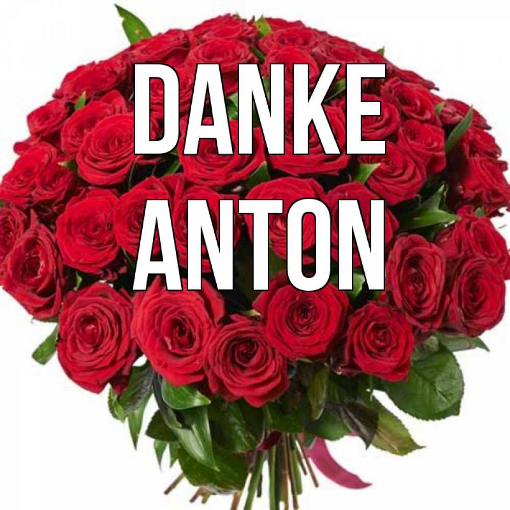 Открытка на каждый день с именем, Anton Danke букет красных роз Прикольная открытка с пожеланием онлайн скачать бесплатно 