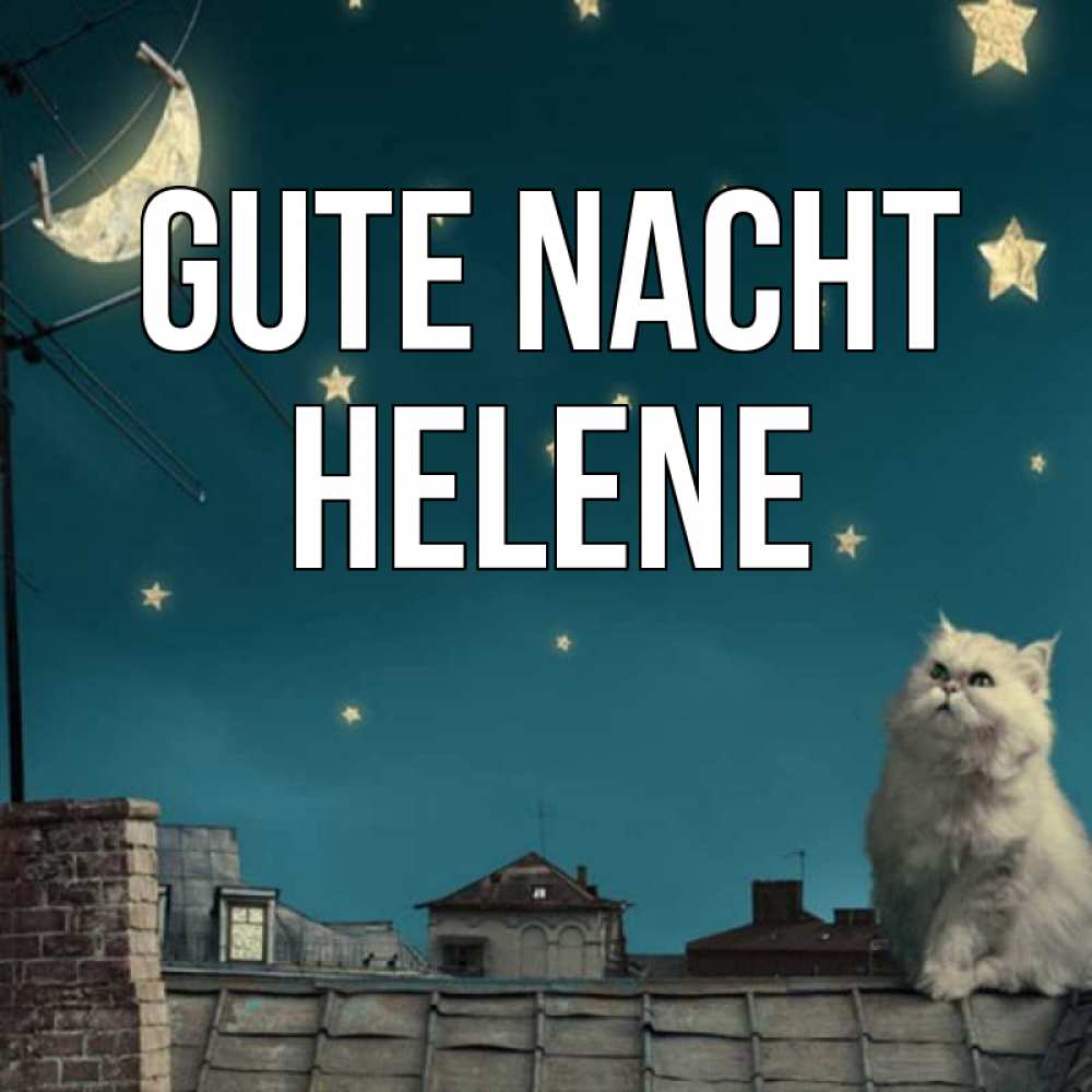 Открытка на каждый день с именем, Helene Gute Nacht белый кот сидит на крыше Прикольная открытка с пожеланием онлайн скачать бесплатно 