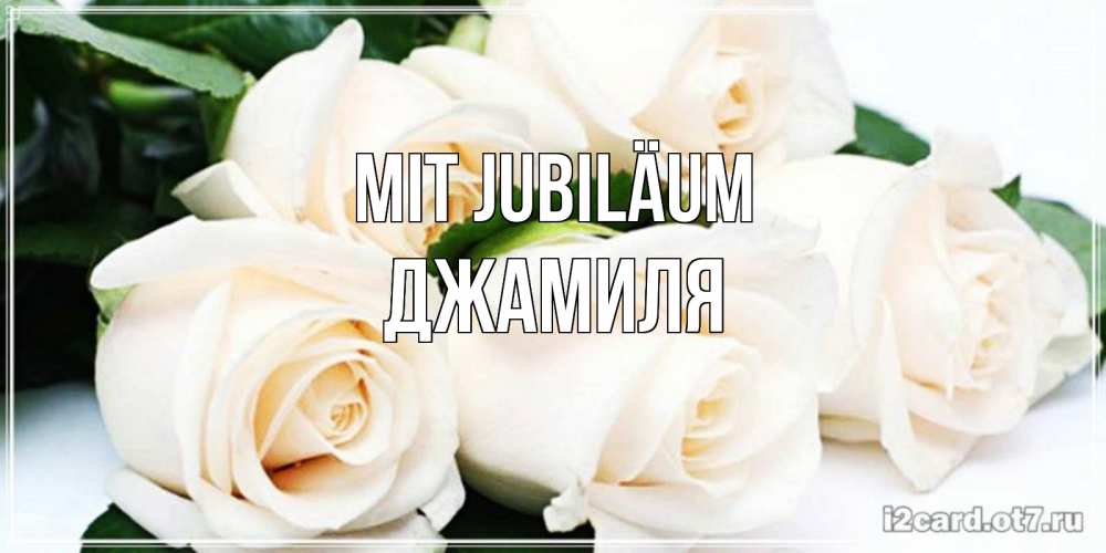 Открытка на каждый день с именем, Джамиля Mit Jubiläum открытка с красивыми белыми розами для родных Прикольная открытка с пожеланием онлайн скачать бесплатно 