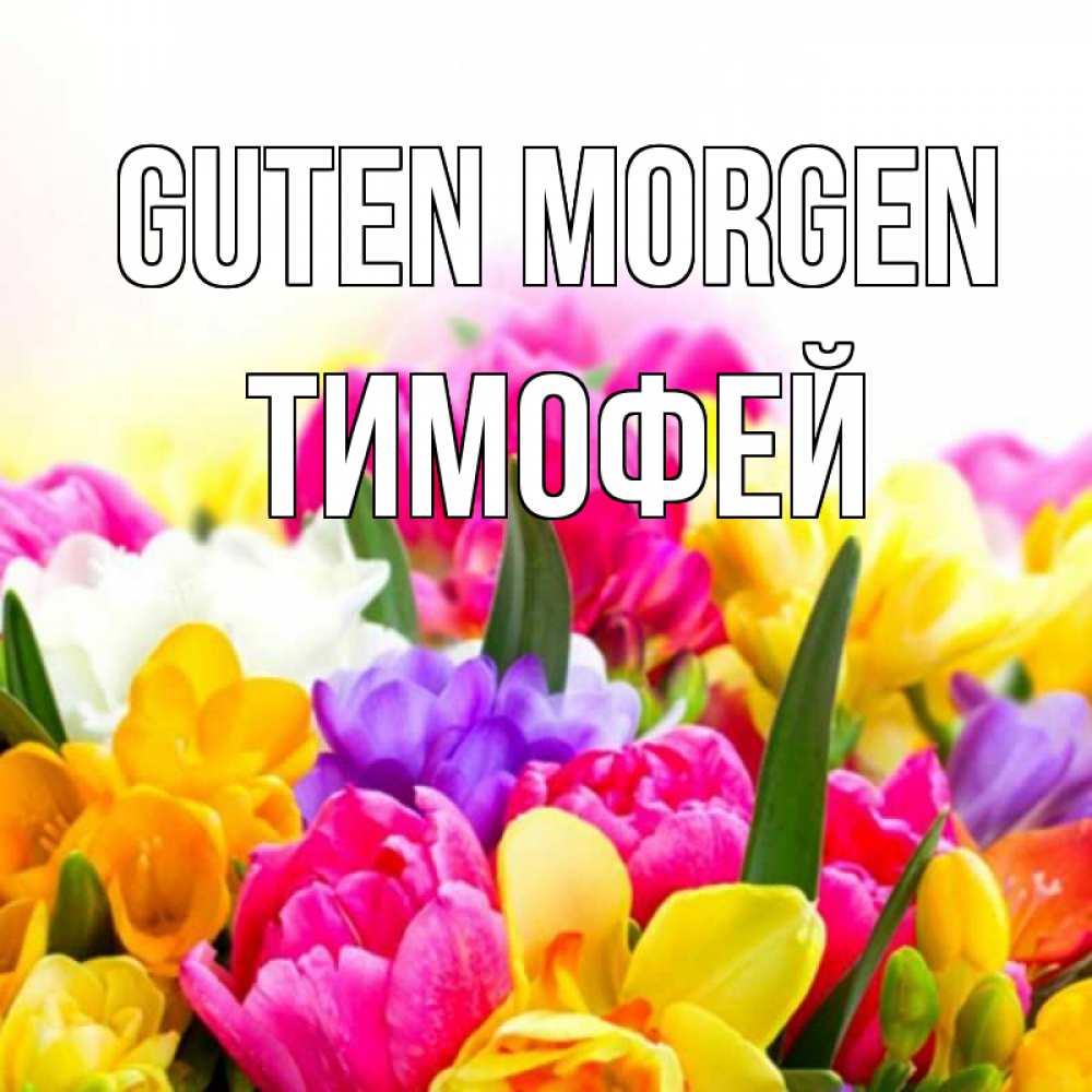 Открытка на каждый день с именем, Тимофей Guten Morgen создать открытку со свое подписью Прикольная открытка с пожеланием онлайн скачать бесплатно 