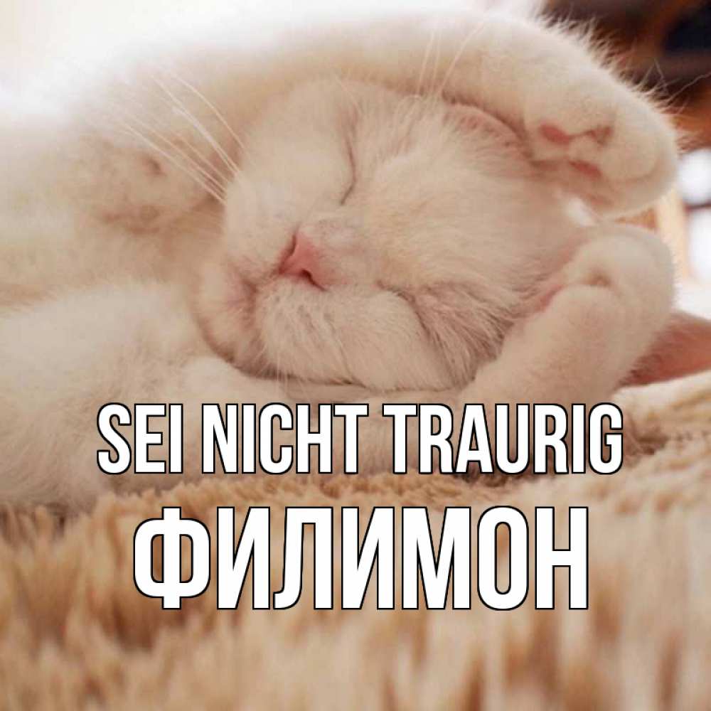 Открытка на каждый день с именем, Филимон Sei nicht traurig белый кот Прикольная открытка с пожеланием онлайн скачать бесплатно 