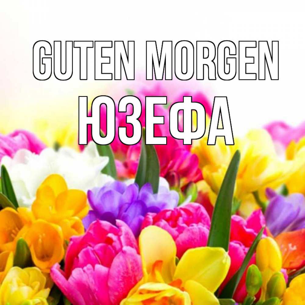 Открытка на каждый день с именем, Юзефа Guten Morgen создать открытку со свое подписью Прикольная открытка с пожеланием онлайн скачать бесплатно 