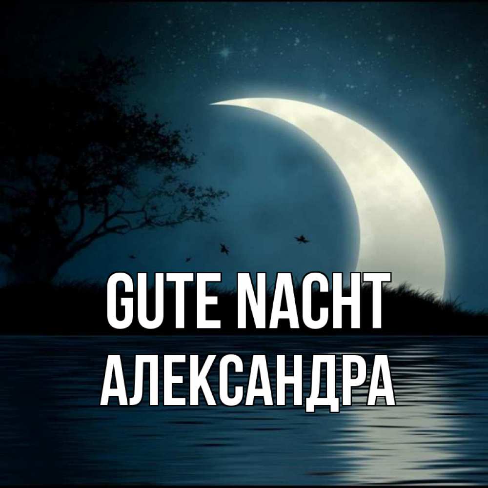 Открытка на каждый день с именем, Александра Gute Nacht вода Прикольная открытка с пожеланием онлайн скачать бесплатно 