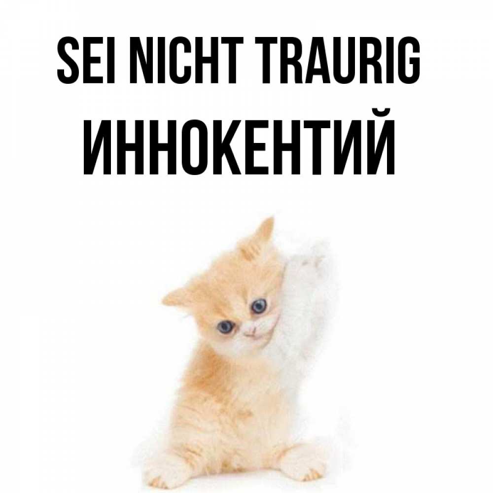 Открытка на каждый день с именем, Иннокентий Sei nicht traurig просящий кот Прикольная открытка с пожеланием онлайн скачать бесплатно 