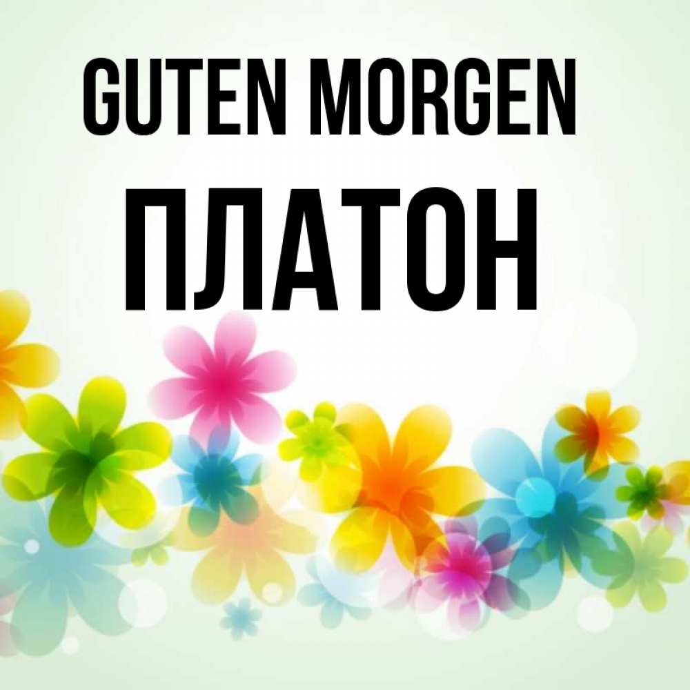 Открытка на каждый день с именем, Платон Guten Morgen позитивные цветочки Прикольная открытка с пожеланием онлайн скачать бесплатно 