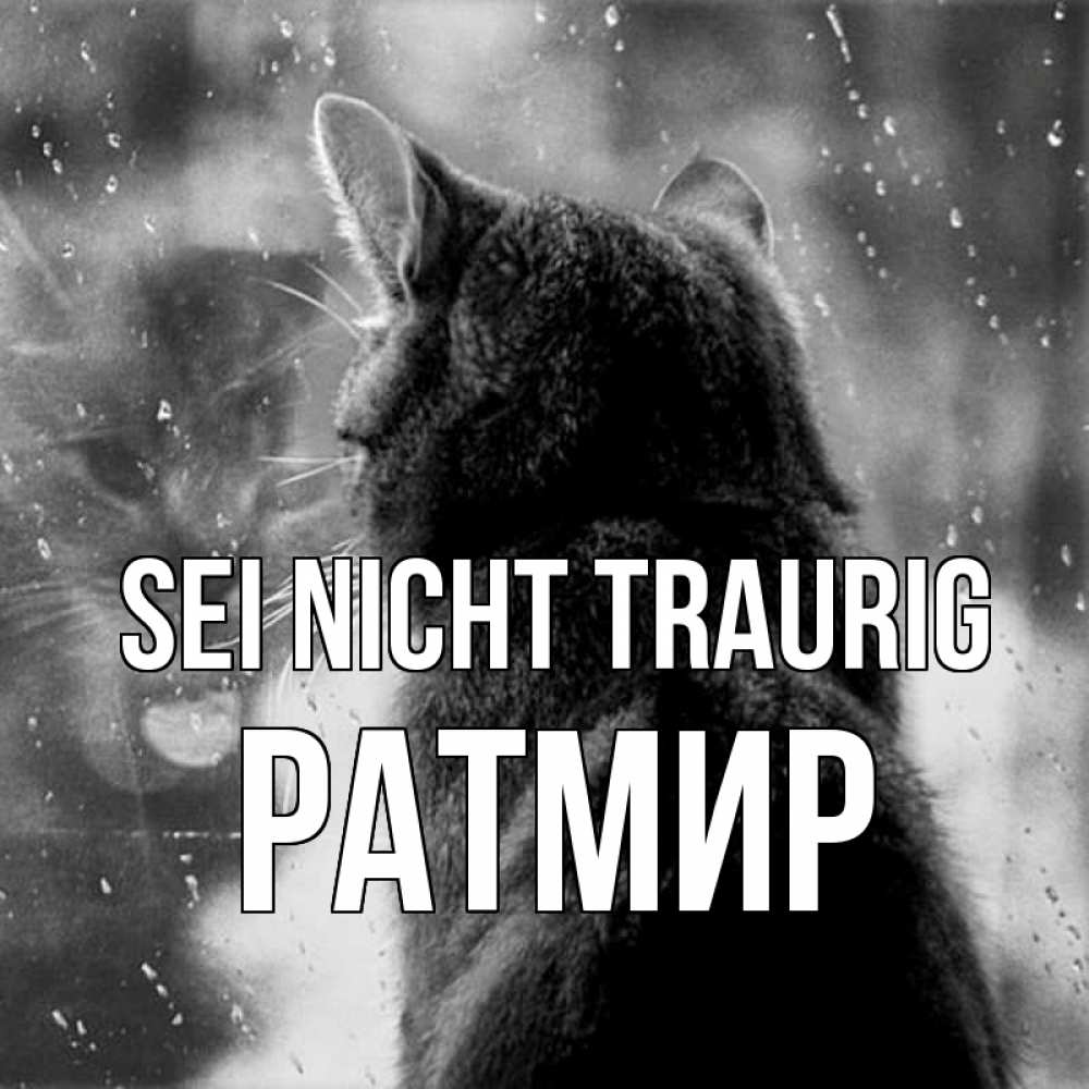 Открытка на каждый день с именем, Ратмир Sei nicht traurig отражение кота 1 Прикольная открытка с пожеланием онлайн скачать бесплатно 