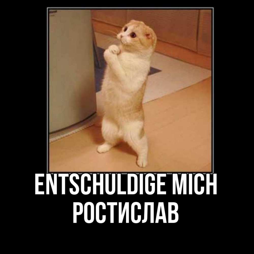 Открытка на каждый день с именем, Ростислав Entschuldige mich открытка с милым несчастным котиком просящим прощения Прикольная открытка с пожеланием онлайн скачать бесплатно 