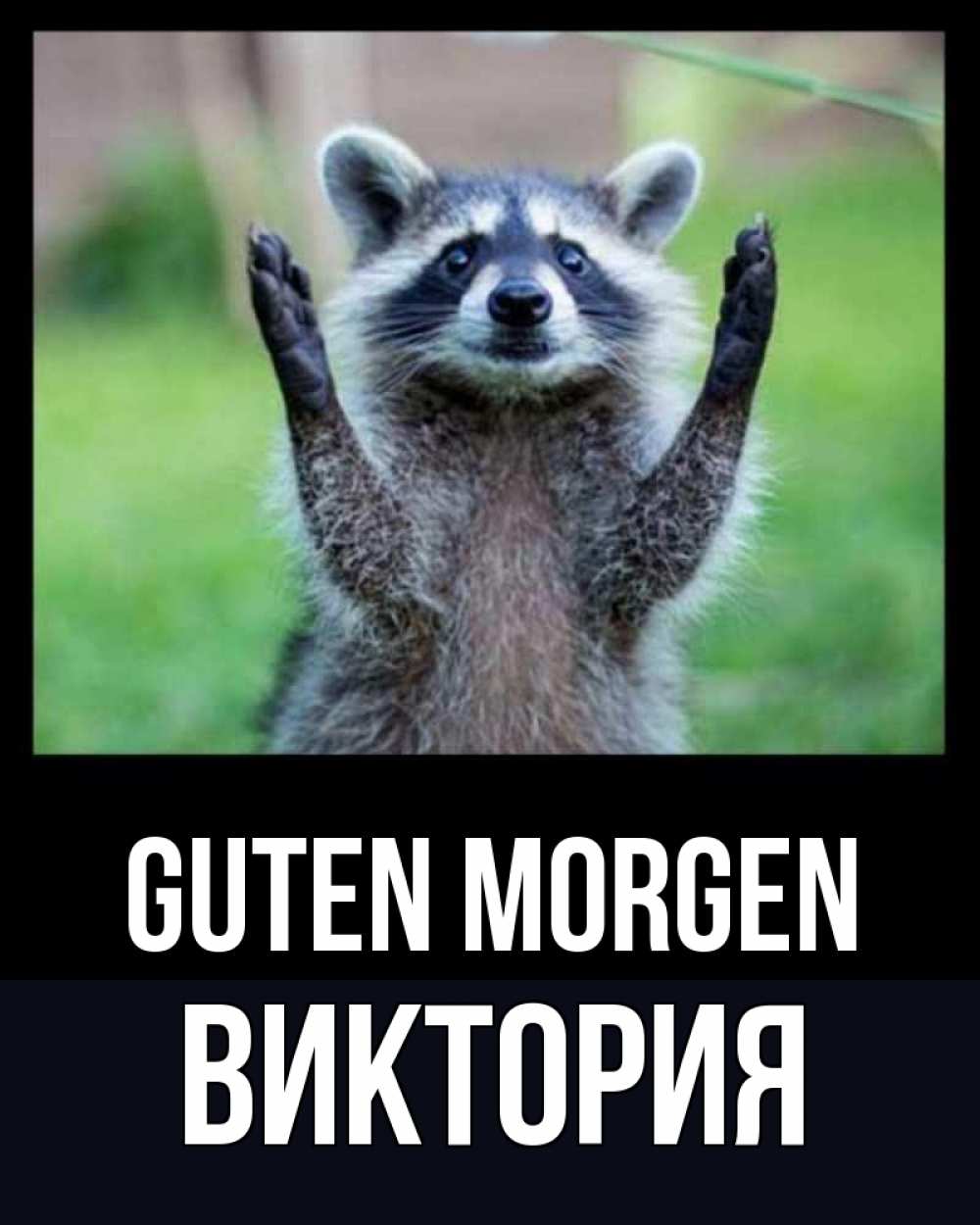 Открытка на каждый день с именем, Виктория Guten Morgen хорошее настроение утречком Прикольная открытка с пожеланием онлайн скачать бесплатно 