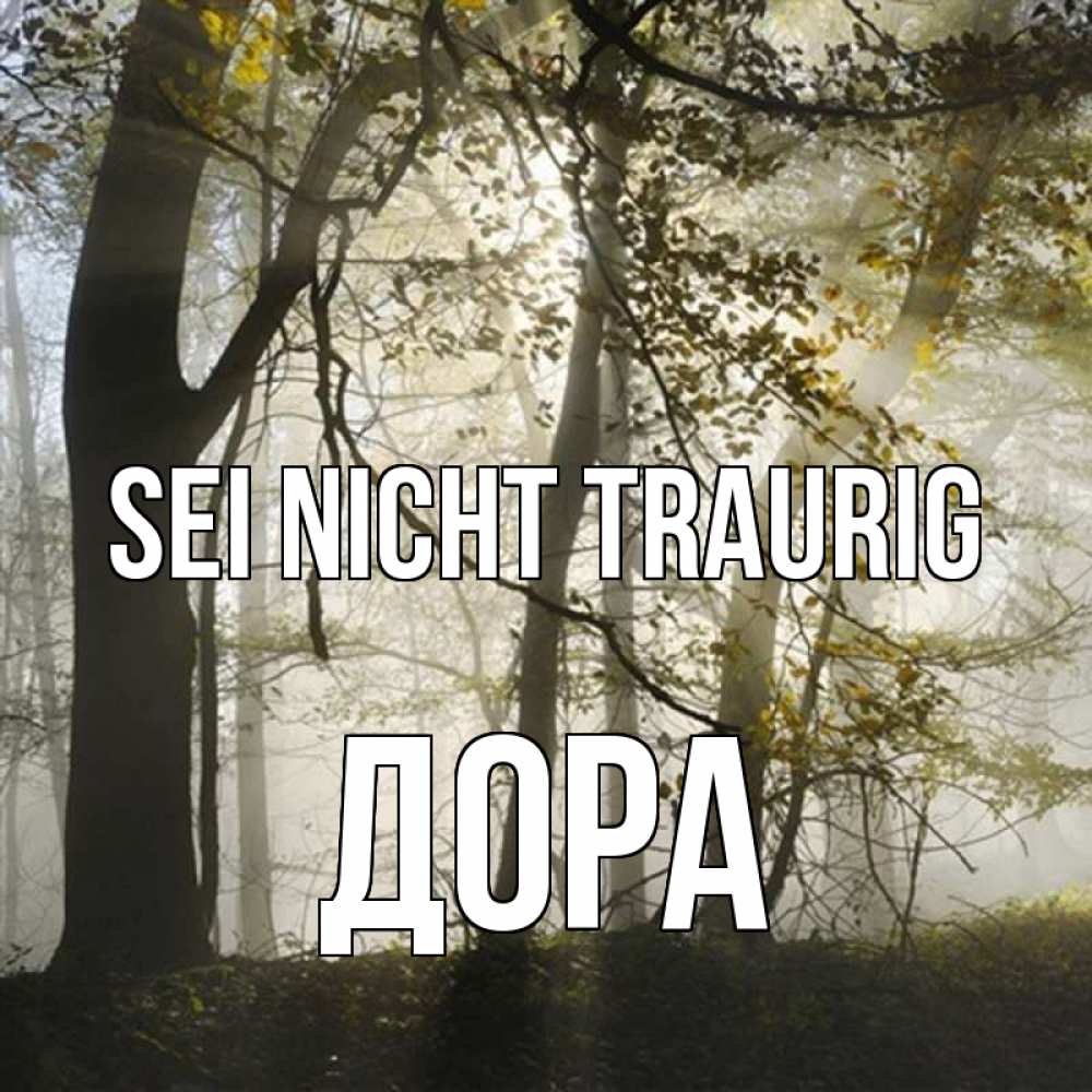 Открытка на каждый день с именем, Дора Sei nicht traurig лес и свет Прикольная открытка с пожеланием онлайн скачать бесплатно 