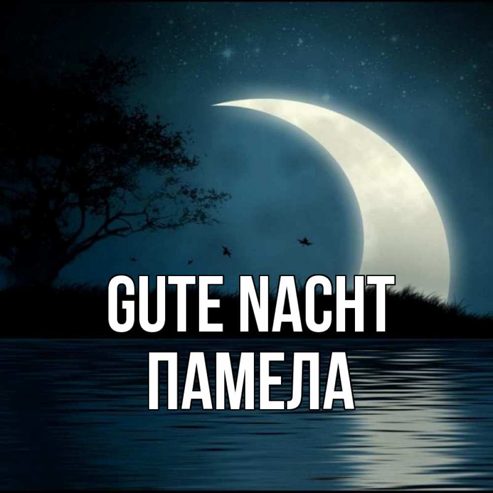Открытка на каждый день с именем, Памела Gute Nacht вода Прикольная открытка с пожеланием онлайн скачать бесплатно 