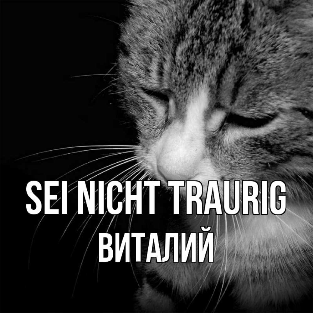 Открытка на каждый день с именем, Виталий Sei nicht traurig грустный котик Прикольная открытка с пожеланием онлайн скачать бесплатно 