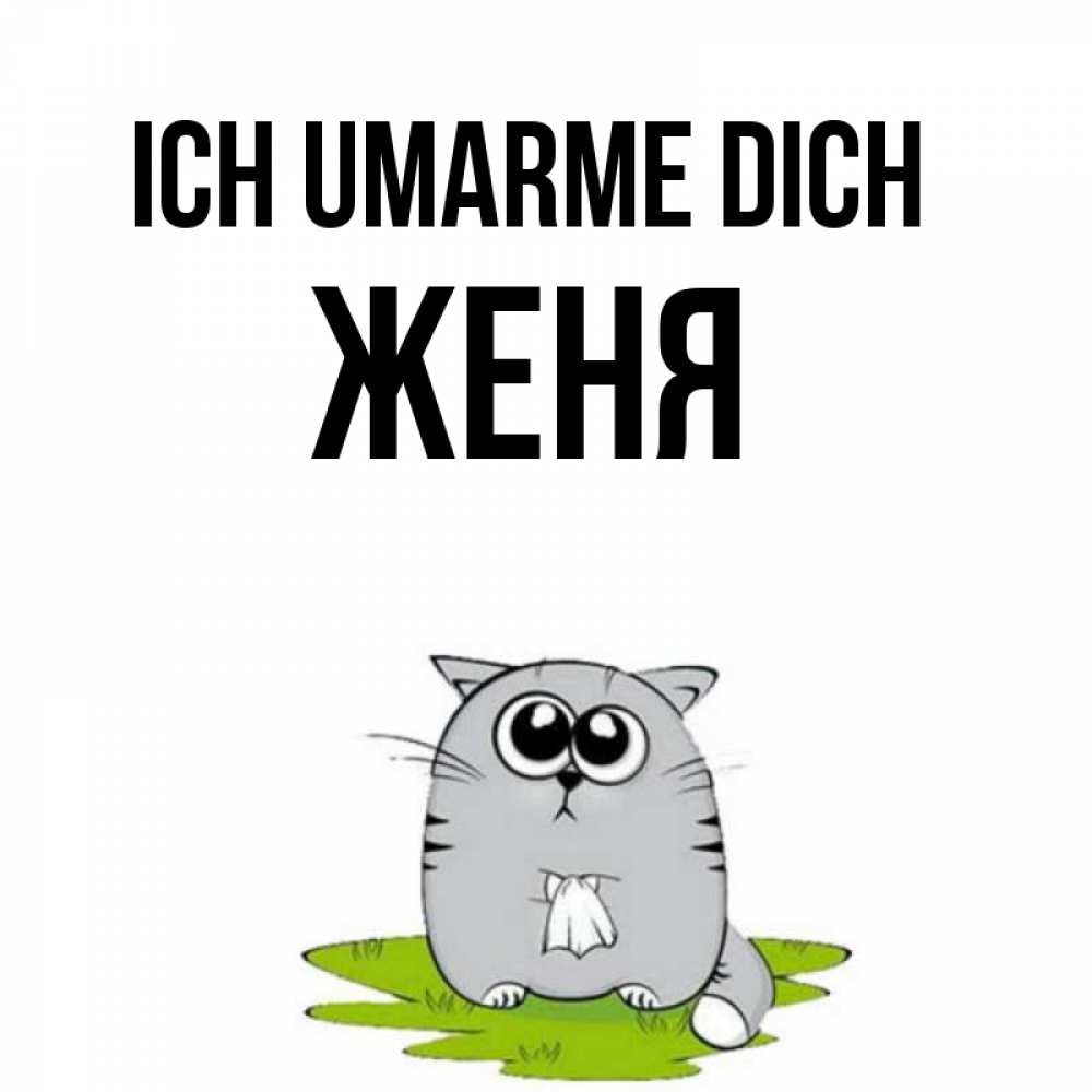 Открытка на каждый день с именем, Женя Ich umarme dich котик теребит платочек сидя на травке Прикольная открытка с пожеланием онлайн скачать бесплатно 