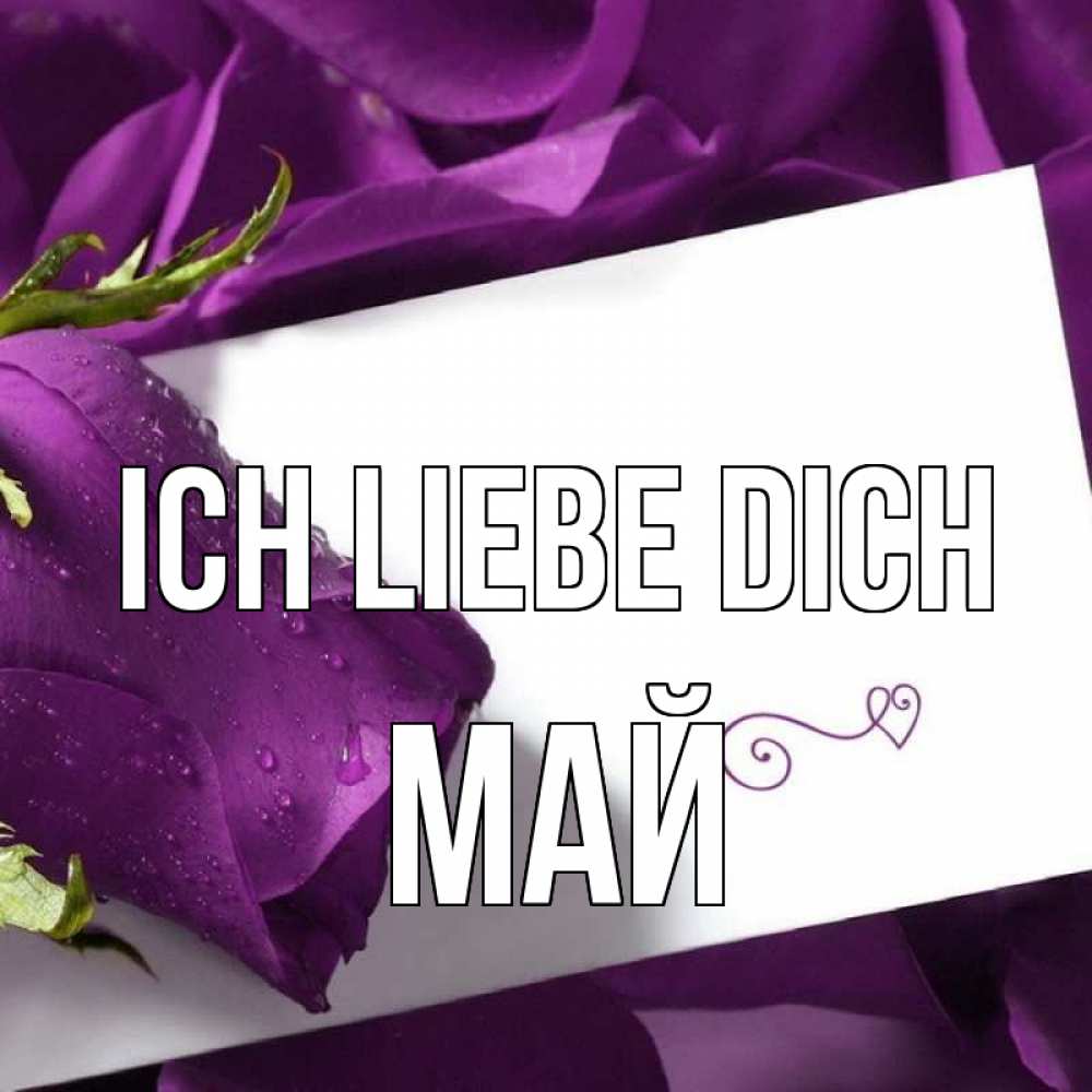 Открытка на каждый день с именем, Май Ich liebe dich роза Прикольная открытка с пожеланием онлайн скачать бесплатно 