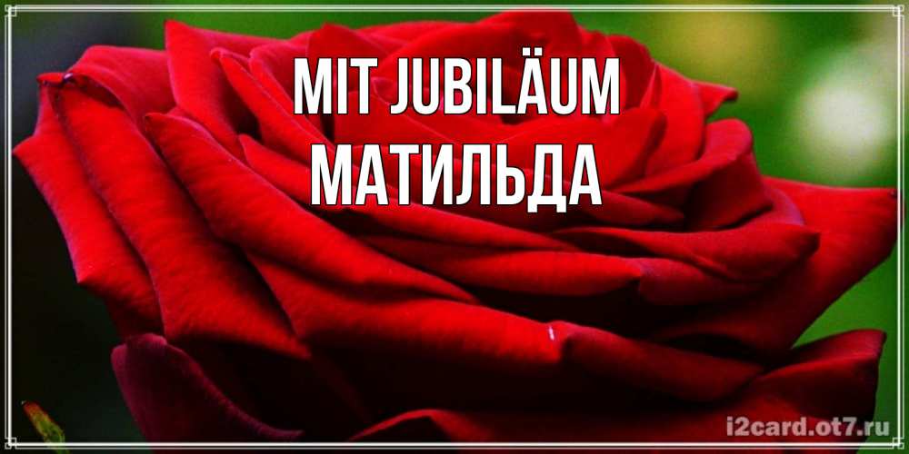 Открытка на каждый день с именем, Матильда Mit Jubiläum розочка очень красивая Прикольная открытка с пожеланием онлайн скачать бесплатно 