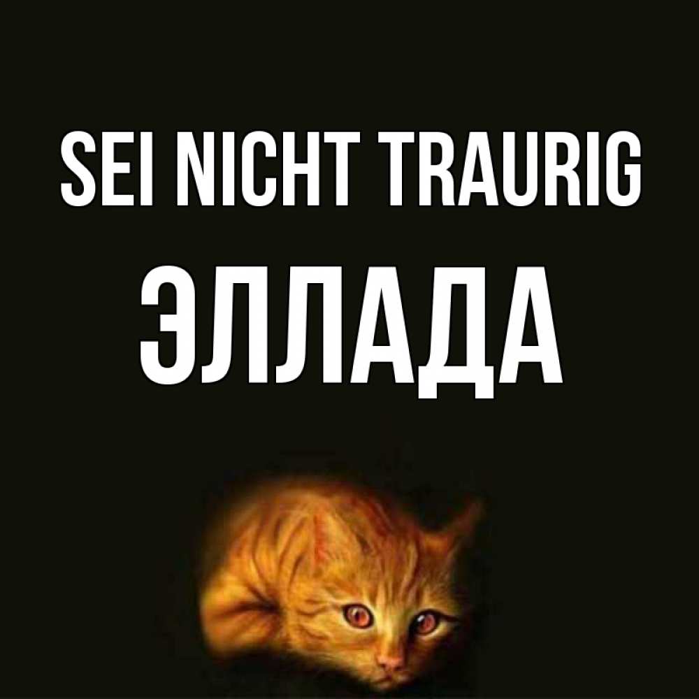 Открытка на каждый день с именем, Эллада Sei nicht traurig лежащий кот в темноте Прикольная открытка с пожеланием онлайн скачать бесплатно 