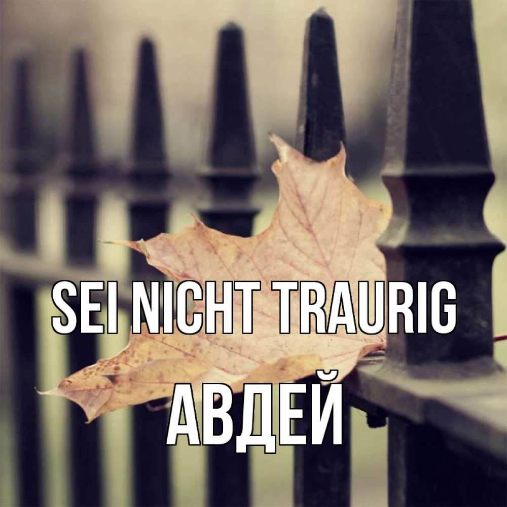 Открытка на каждый день с именем, Авдей Sei nicht traurig лист клена Прикольная открытка с пожеланием онлайн скачать бесплатно 