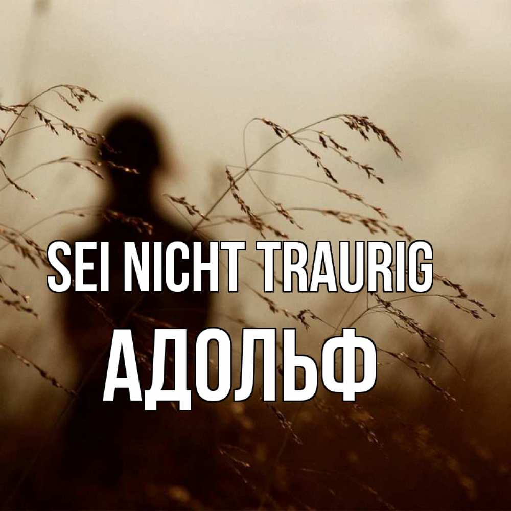 Открытка на каждый день с именем, Адольф Sei nicht traurig грусть Прикольная открытка с пожеланием онлайн скачать бесплатно 