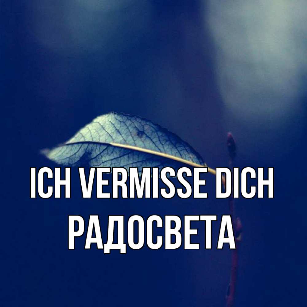 Открытка на каждый день с именем, Радосвета Ich vermisse dich одна ветка 1 Прикольная открытка с пожеланием онлайн скачать бесплатно 