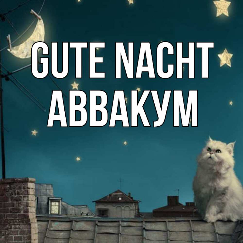 Открытка на каждый день с именем, Аввакум Gute Nacht белый кот сидит на крыше Прикольная открытка с пожеланием онлайн скачать бесплатно 