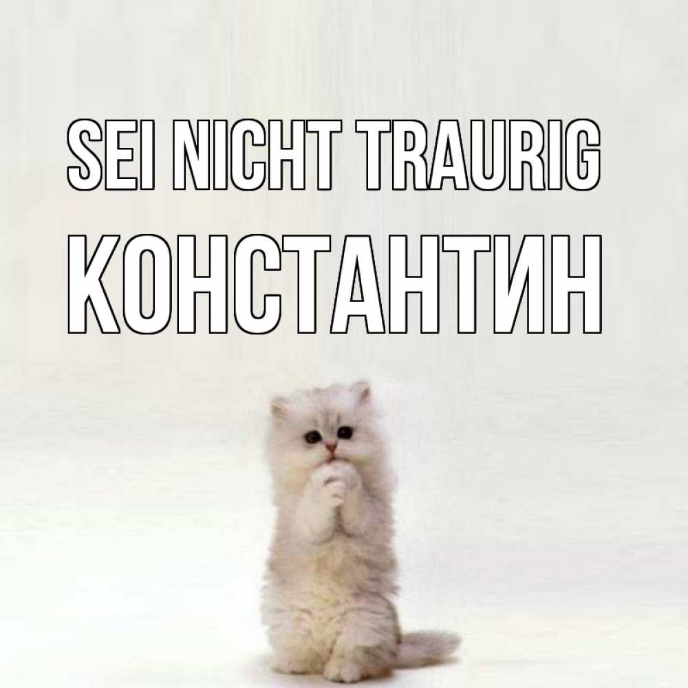 Открытка на каждый день с именем, Константин Sei nicht traurig грустный кот Прикольная открытка с пожеланием онлайн скачать бесплатно 