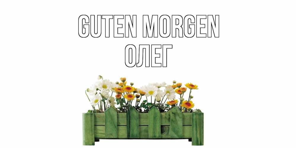 Открытка на каждый день с именем, Олег Guten Morgen цветы Прикольная открытка с пожеланием онлайн скачать бесплатно 