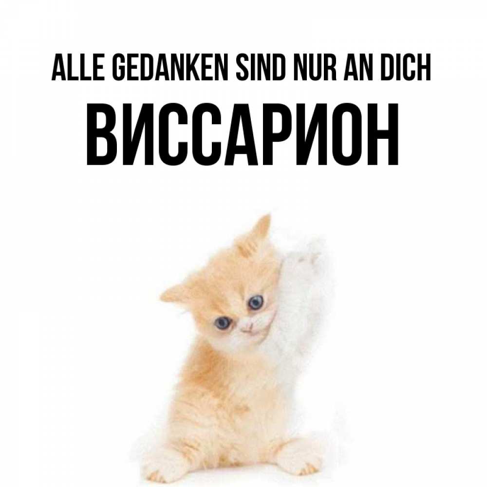 Открытка на каждый день с именем, Виссарион Alle Gedanken sind nur an dich зверушки и милота Прикольная открытка с пожеланием онлайн скачать бесплатно 