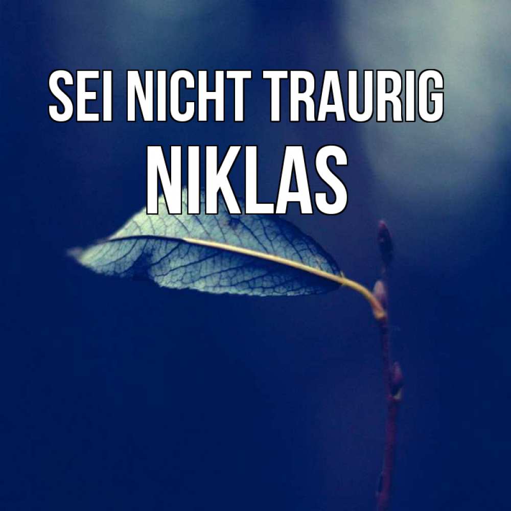 Открытка на каждый день с именем, Niklas Sei nicht traurig растение Прикольная открытка с пожеланием онлайн скачать бесплатно 