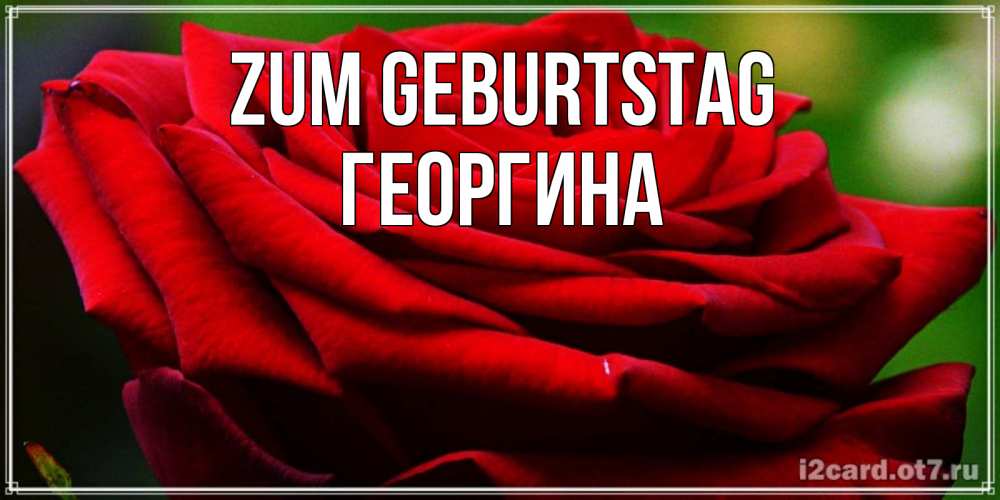 Открытка на каждый день с именем, Георгина Zum Geburtstag розочка очень красивая Прикольная открытка с пожеланием онлайн скачать бесплатно 