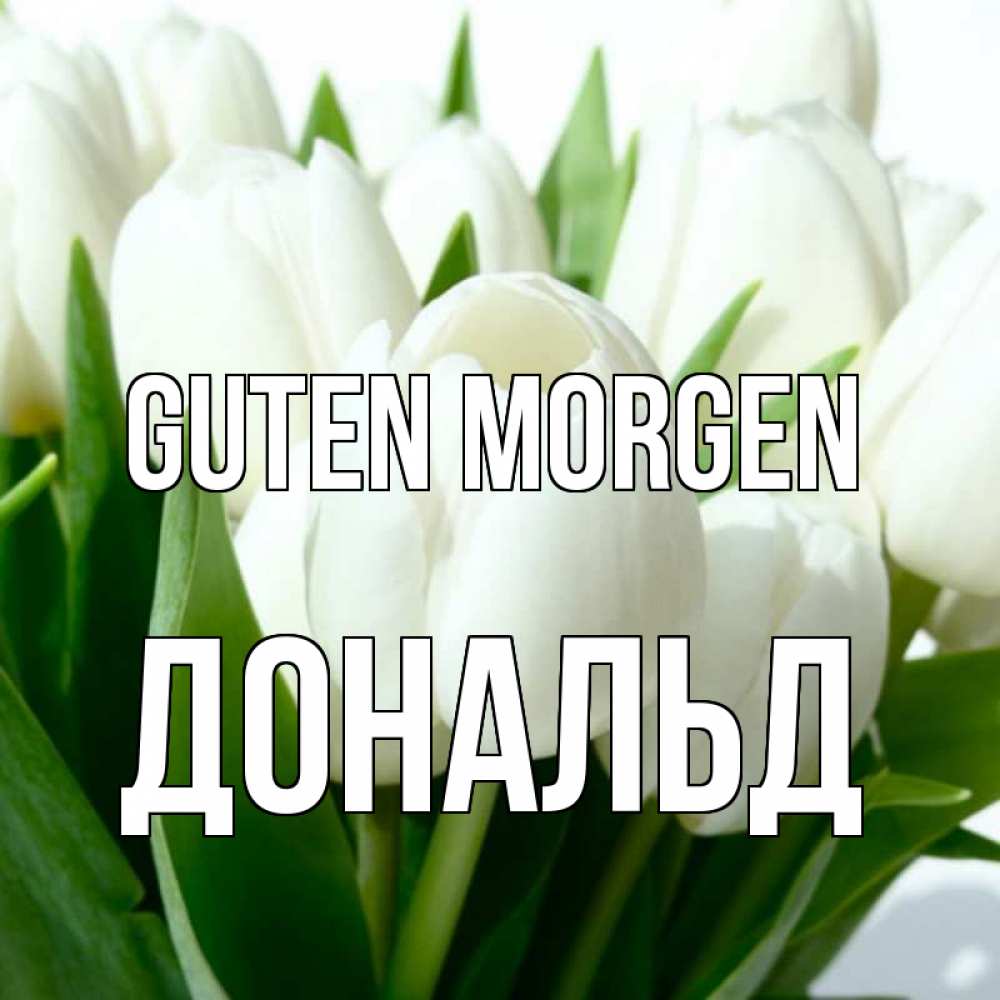 Открытка на каждый день с именем, Дональд Guten Morgen открытки на каждый день по именам Прикольная открытка с пожеланием онлайн скачать бесплатно 