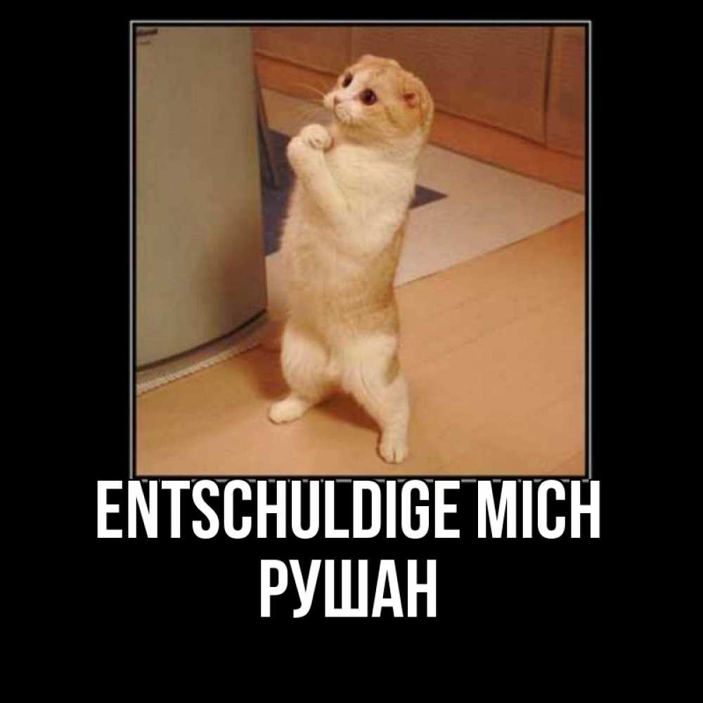 Открытка на каждый день с именем, Рушан Entschuldige mich открытка с милым несчастным котиком просящим прощения Прикольная открытка с пожеланием онлайн скачать бесплатно 